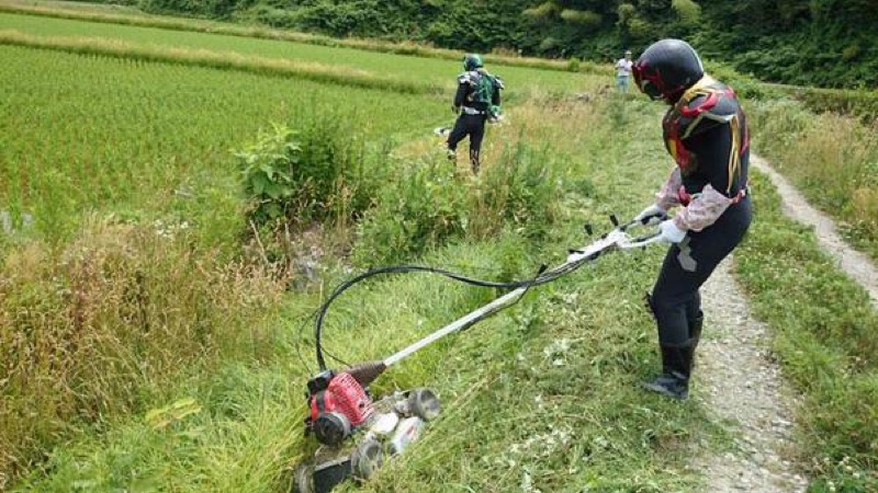 Illustration for article titled In Japan, There's a Superhero Who...Plants Rice